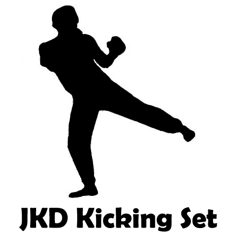 jeet kune do kicks