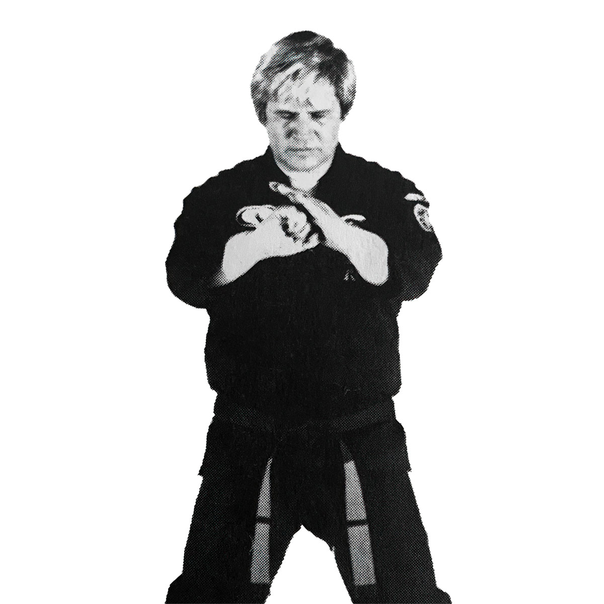 The Kenpo Salute Martial Musings a Martial Arts Blog